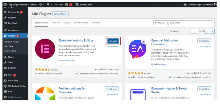 elementor pro