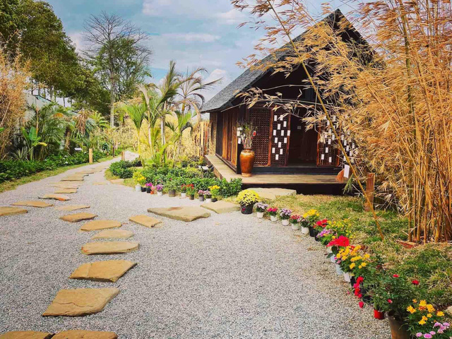 Vườn Zen gần 1ha trong tổ hợp BĐS của ông Đặng Lê Nguyên Vũ vừa khai trương: Xây theo kiến trúc chữa lành Thân – Tâm – Trí, thu vé vào cổng bằng… cây - Ảnh 6.