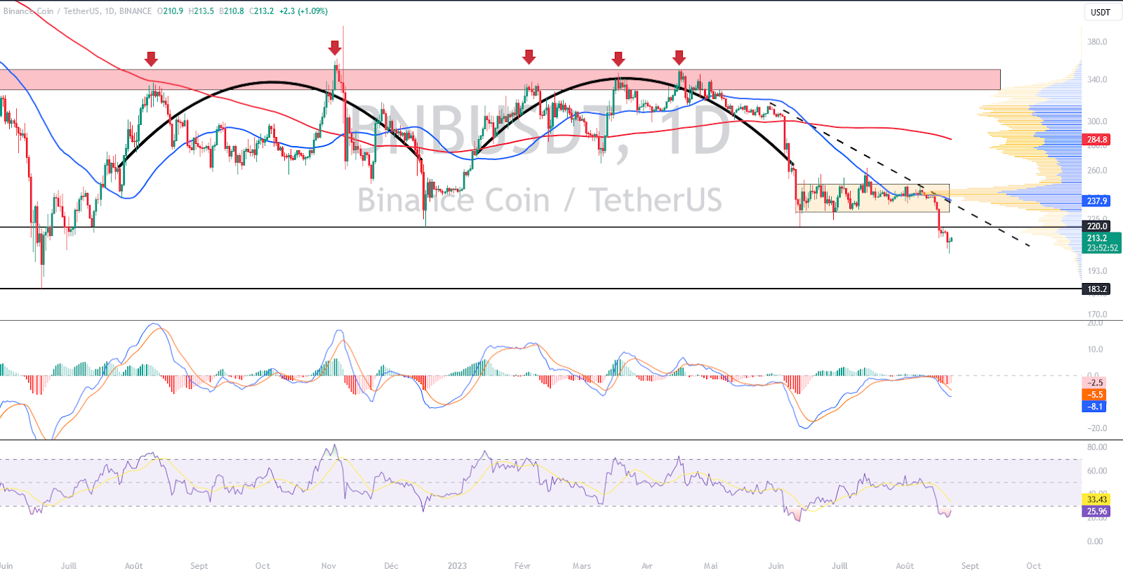 Daily chart of BNB/USD