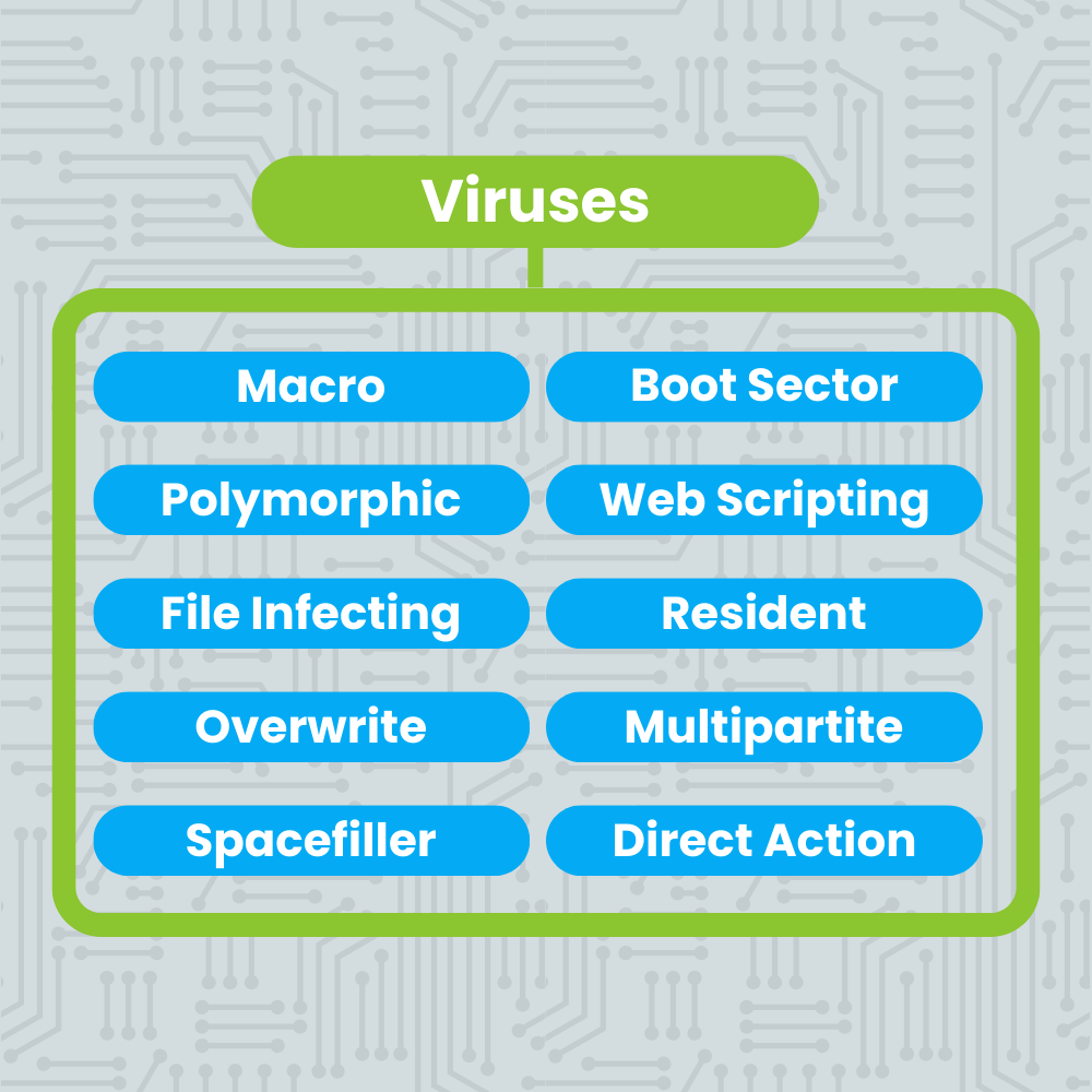 web of types of viruses