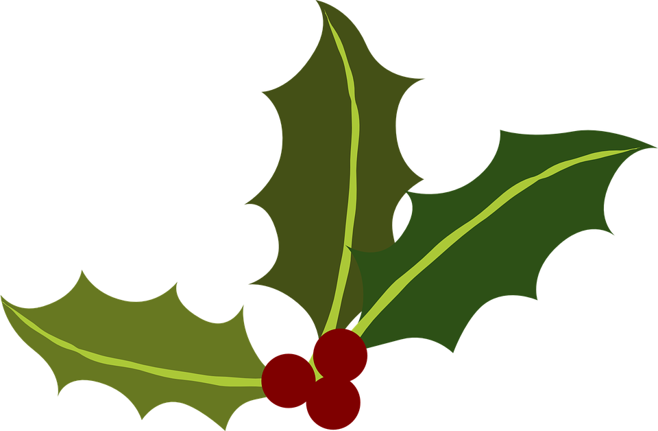 Free vector graphic: Green, Holly, Berries, Christmas - Free Image ...