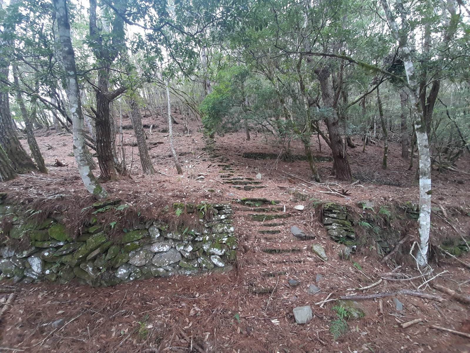 b3DTGqPmgxDDPCcDvAHcGItYdp1Z-izHClKHTnwlQlUHCv8bxkAgUXsXwcW07xqDImja8HDU5U2Dxf55wTrjnWHDfe3NtibHi9HjSIlxGcZtI-v0ihdcy04kxtqLl2xWEA90aWg0