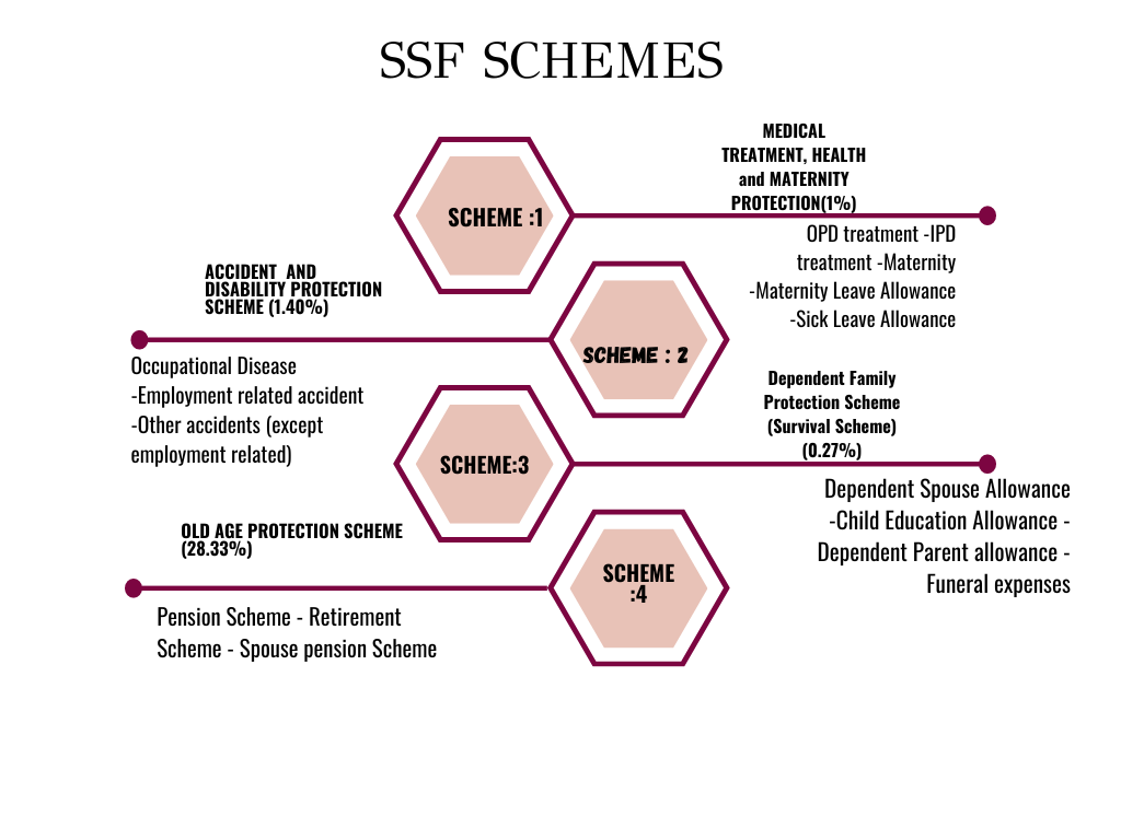 Four social security schemes rolled out by the government under the SSF