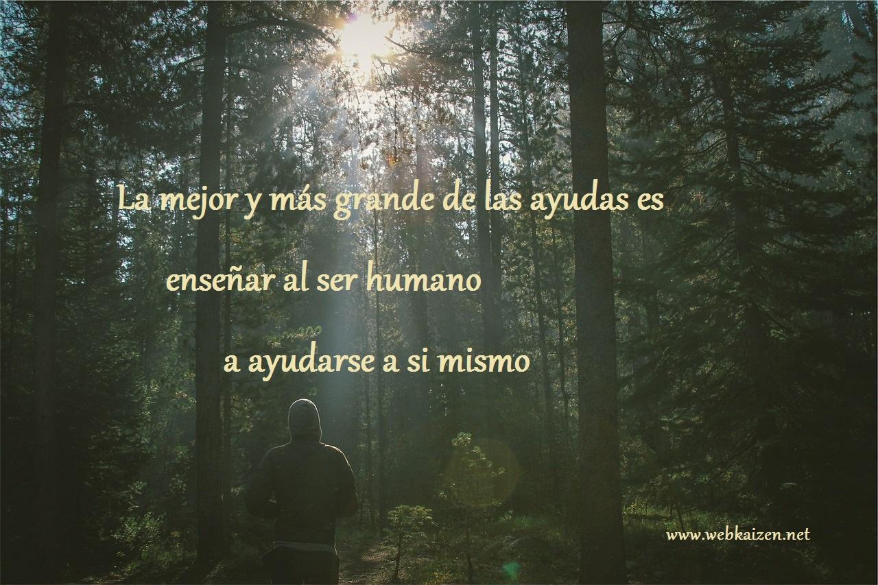 forest-605505_1280