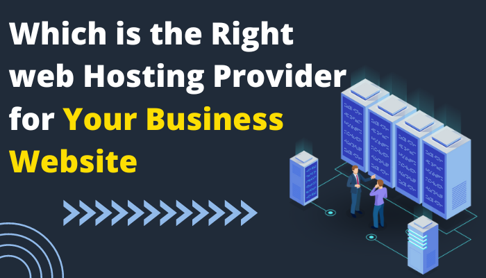 Which is the Right web Hosting Provider for Your Business Website?