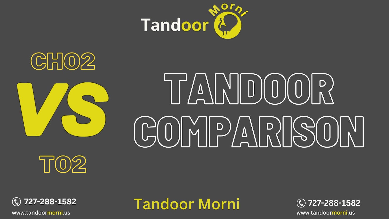 Tandoor Oven Comparison