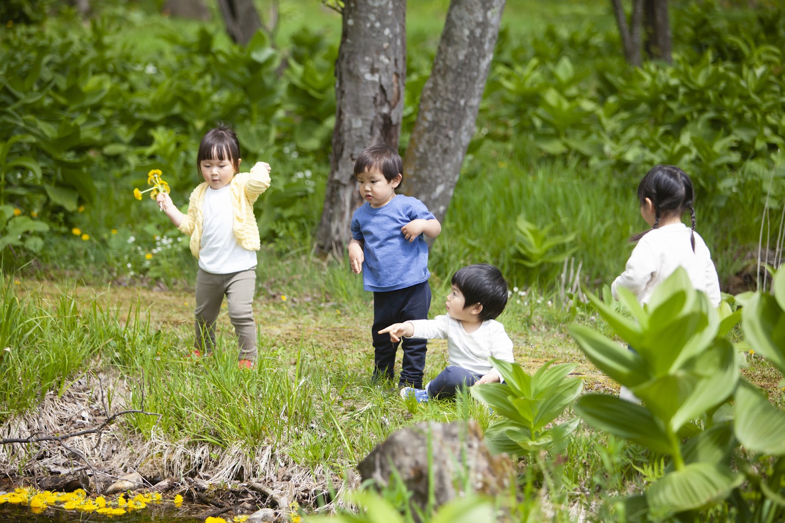 子どもの目を守るには、「外遊び」をしよう！