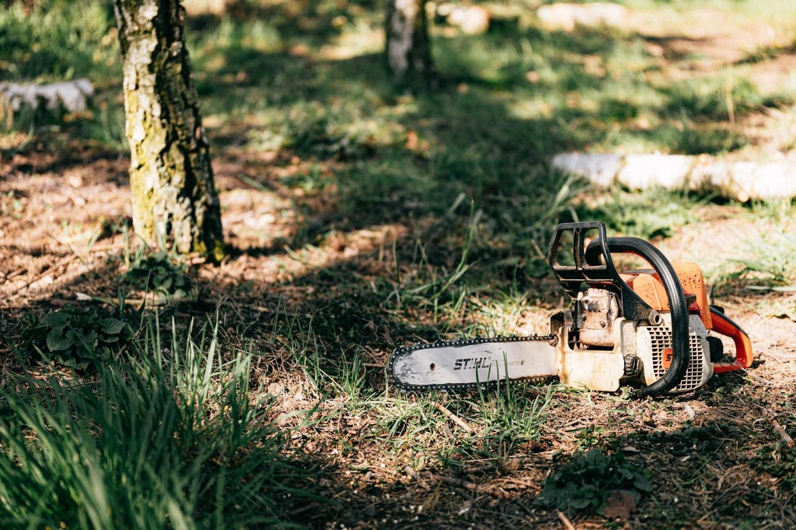 what-size-chainsaw-do-i-need-for-cutting-trees-machine-handyman
