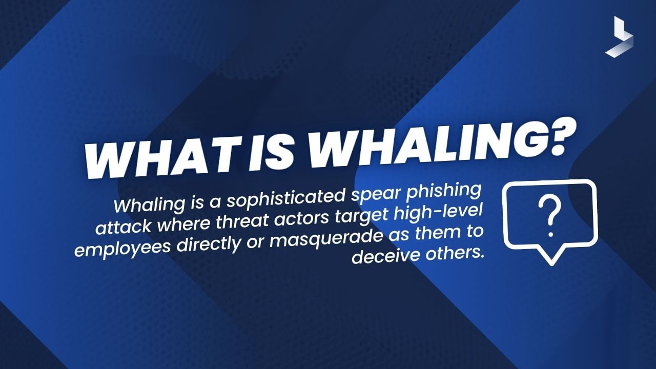 What is whaling