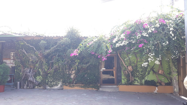 Maiza Diseño Floral - Guayaquil