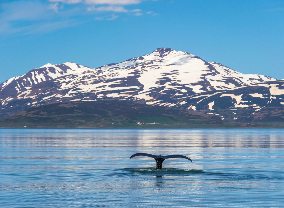 Diamond Circle Iceland: The Ultimate Guide