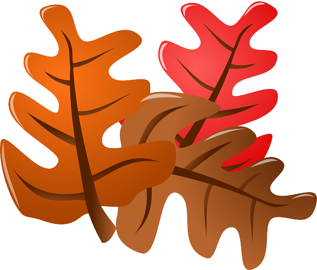 Leaves, Autumn, Fall,
