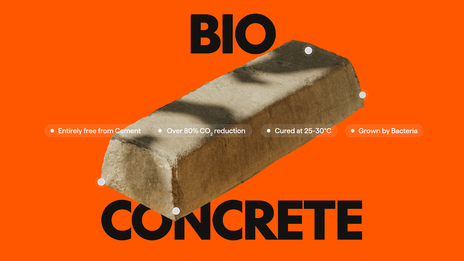 Bio-Concrete & the House of Hard Things Branding and Visual Identity