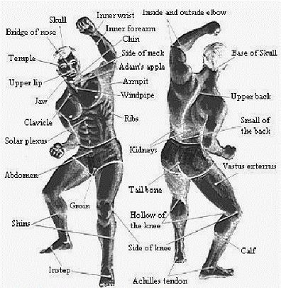 Image result for pressure point fighting style