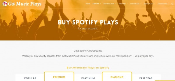 Should I buy Spotify Plays  Followers  Music Gateway