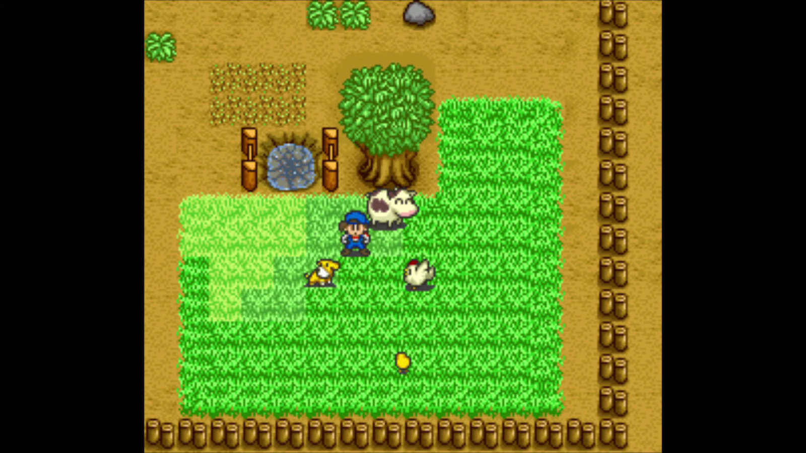 That's a happy cow. | Harvest Moon SNES