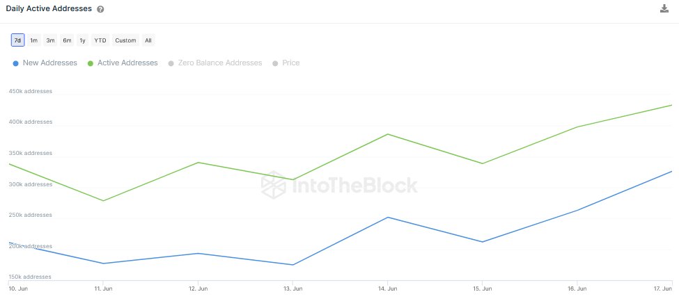 New Litecoin addresses soar 55% in a week as halving event nears