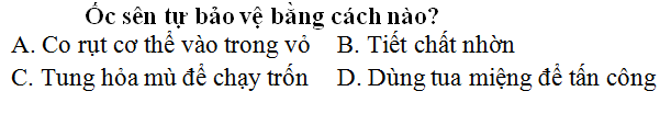 Hình ảnh không có chú thích