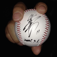 龍谷大平安硬式野球部応援サイト