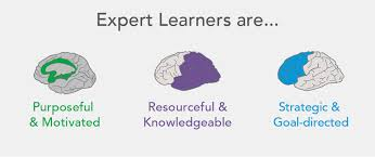 The expert learners affective network shows purpose and motivation, resourcefulness and knowledge, strategy and direction toward goals.