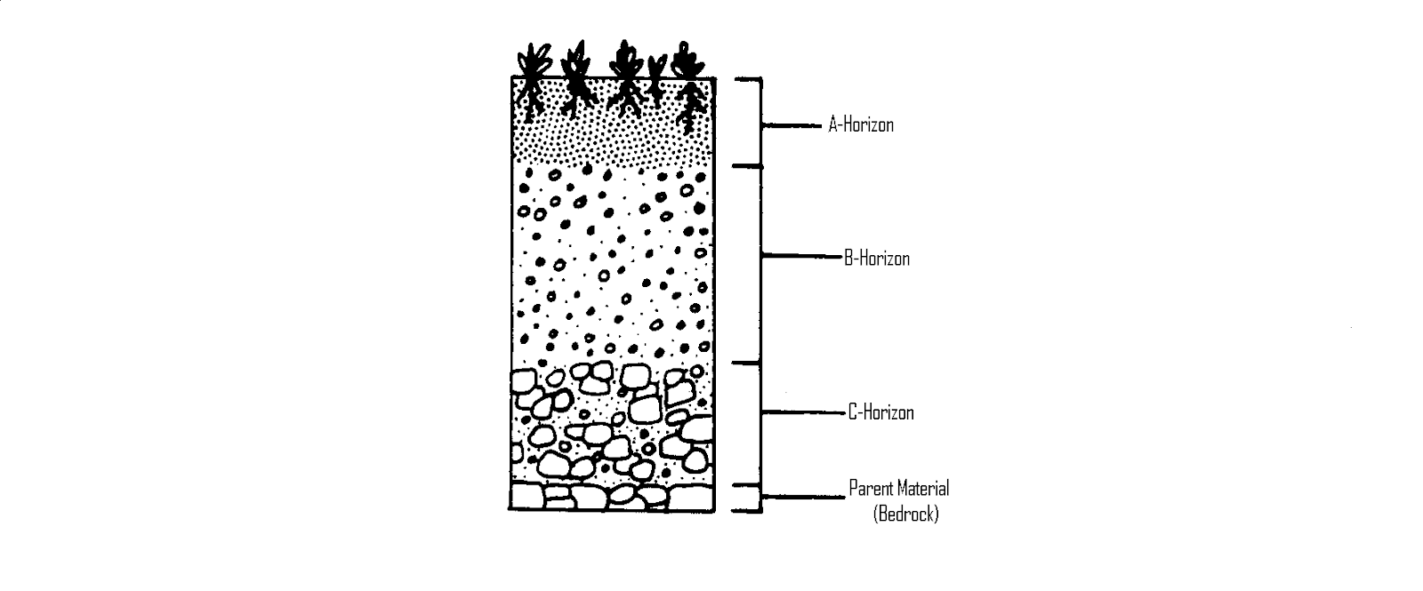 20.20 Soil Formation - Will Pollard  Library  Formative In Soil Formation Worksheet Answers
