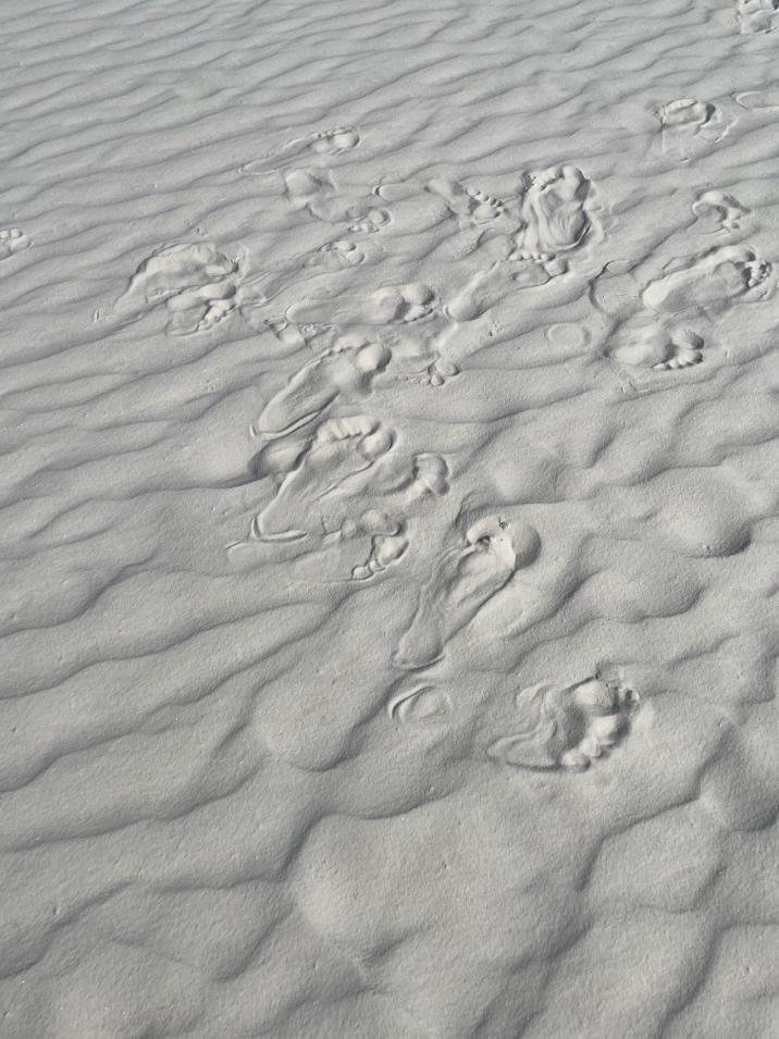 White Sands NP Prehistoric Footprints Push Back Arrival of Cha-Cha ...