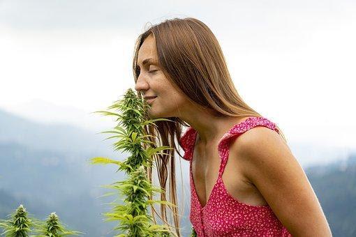 Woman, Smelling, Marijuana, Hemp