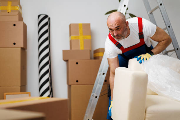 packing experts, commercial moves, local moves