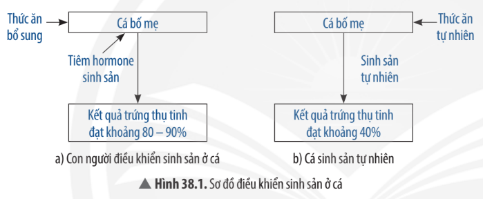 Câu hỏi trang 175 SGK TN&XH 7 CTST tập 1