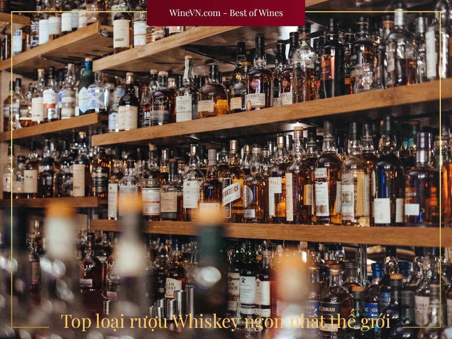 Rượu Tequila Đắt Nhất - Tận Hưởng Sự Trải Nghiệm Với Loại Rượu Này