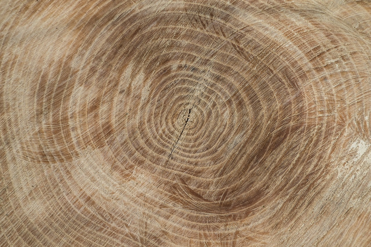 Holz (7 interessante Fakten)