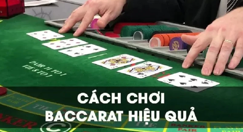SV66 hướng dẫn chơi Baccarat tại casino siêu chuẩn xác