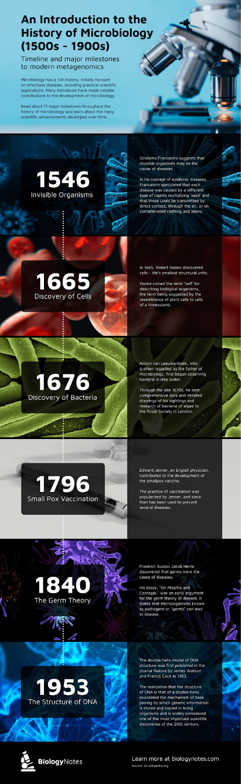 6 Microbiology Milestones Timeline Infographic Template
