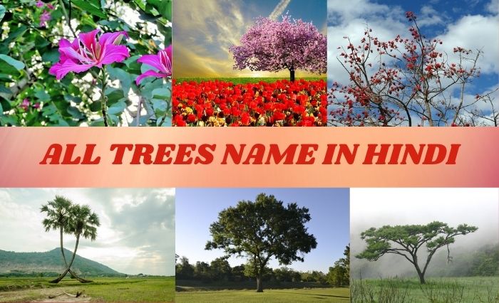 TREES NAME IN HINDI
