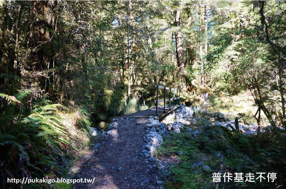 C:\Users\lgwtr\Desktop\網誌經營\普佧基走不停\NZ紐西蘭_南島_Milford Track\Day 2\簡報3\投影片4.JPG