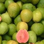 Guava Fruit