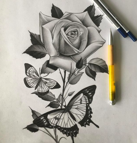 Dibuja una rosa y conserva una flor que nunca se marchitará | Skillshare  Blog