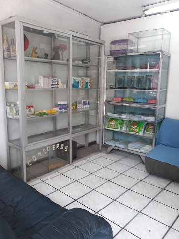 Centro De Salud Veterinaria - Quito