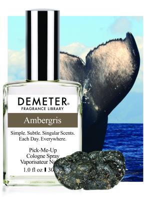“AMBERGRIS”อ้วกวาฬในน้ำหอม?ทำไมจึงเป็นหนึ่งในของล้ำค่าขึ้นชื่อว่าเป็นขุมทรัพย์แห่งท้องทะเลและทองคำลอยน้ำ4