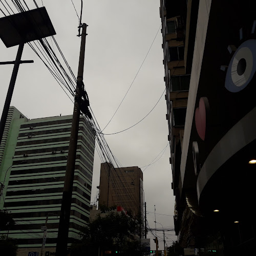 Referencia: Edificio San Ricardo, Av Jose Larco N° 743, Of.801, Miraflores CP:, Miraflores 15074, Perú