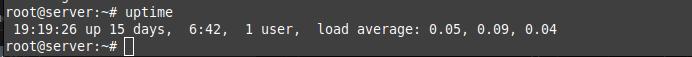 Cara Cek Resource Usage di VPS Melalui SSH