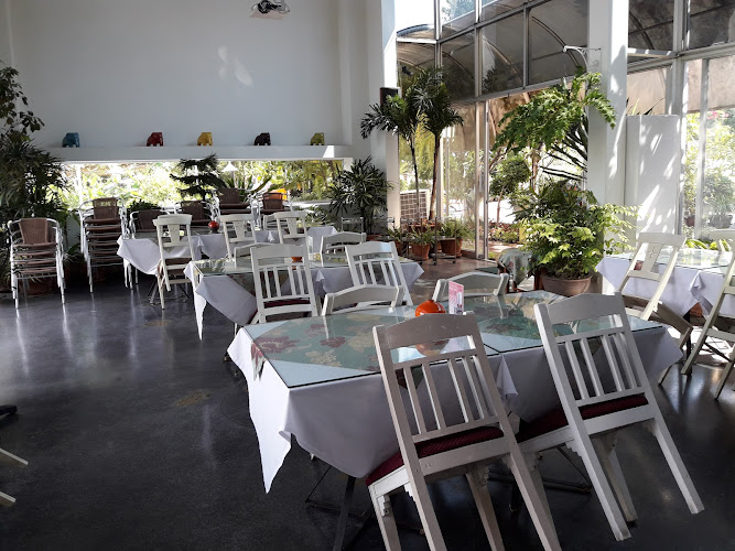 Koolcot Cafe by Harvest Moon