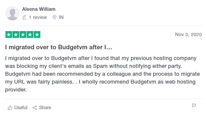 budgetvm reviews.png