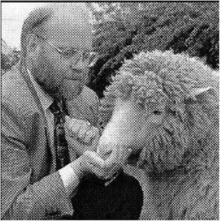 D:\0 wd yedek\acr yedek\1 film indirme\50_znamenityh_skandalov_dosyalar\image019.jpg