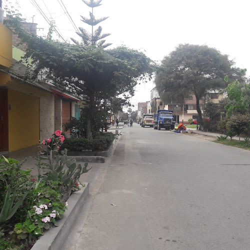 Consultorio Dental " Los Nogales " - Callao