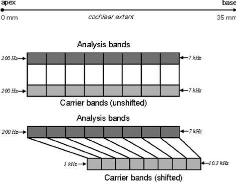 Frequency allocations of analysis and carrier filter bands for 8-channel acoustic simulations of cochlear implant speech processing. 