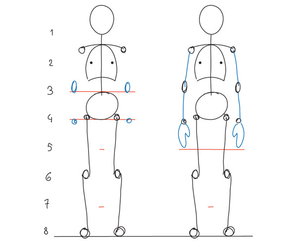 İnsan Anatomisi Model çizim Teknikleri ve Ölçü nasıl alınır