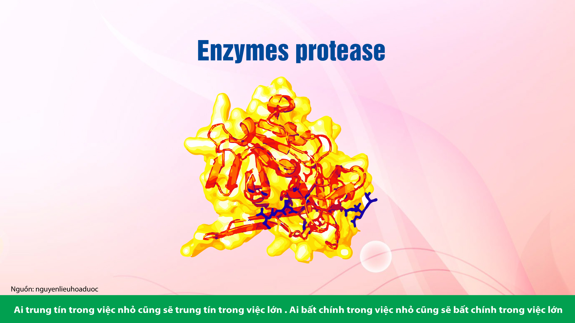 TÁC DỤNG TUYỆT VỜI CỦA CÁC ENZYME TIÊU HÓA (P2)