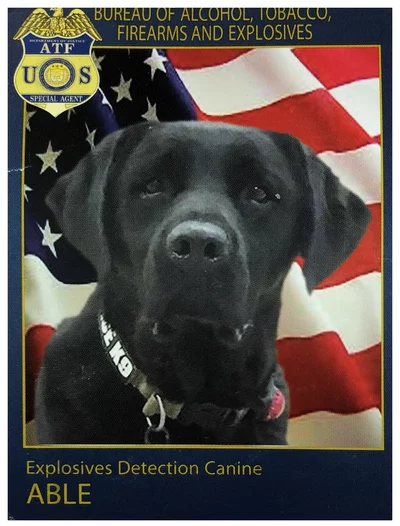 Baseball card featuring explosive detection dog