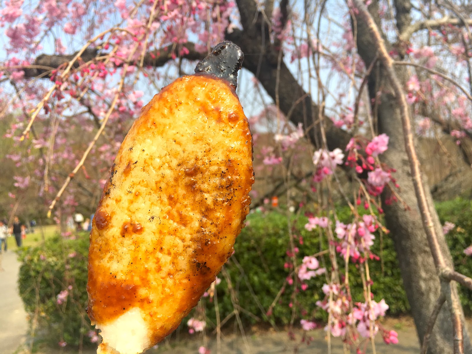 一度食べると誰もがとりこになる五平餅の魅力 Chubridge